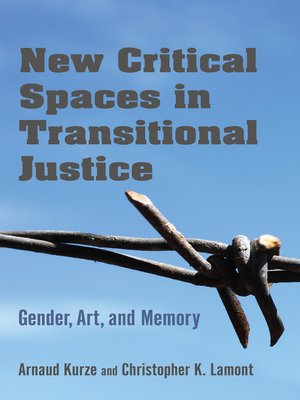 cover image of New Critical Spaces in Transitional Justice